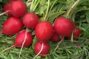 picture_7